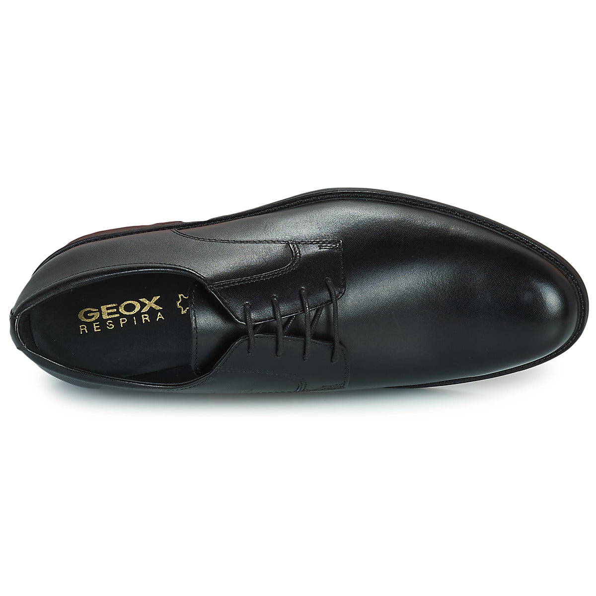 Geox CARNABY D Czarny