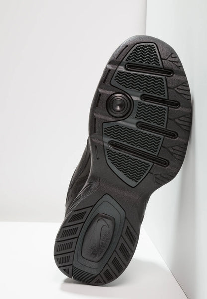 Nike Performance AIR MONARCH IV - Obuwie treningowe